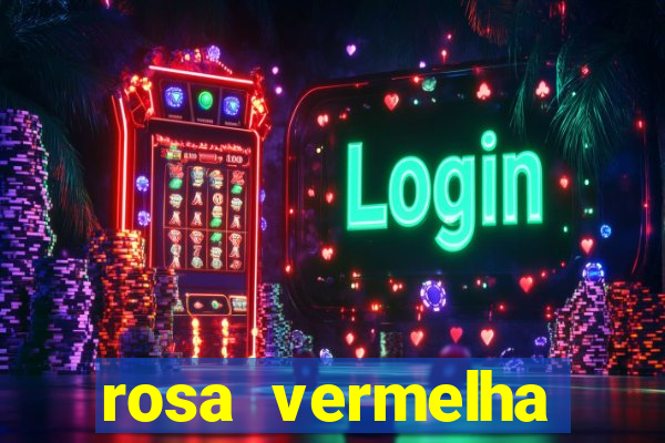rosa vermelha (letra e cifra)